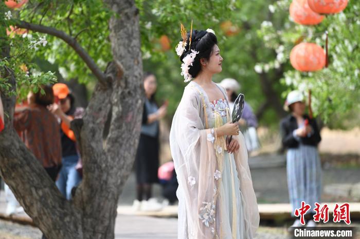 汉服爱好者在杏花树下散步。　中新网记者 刘文华 摄