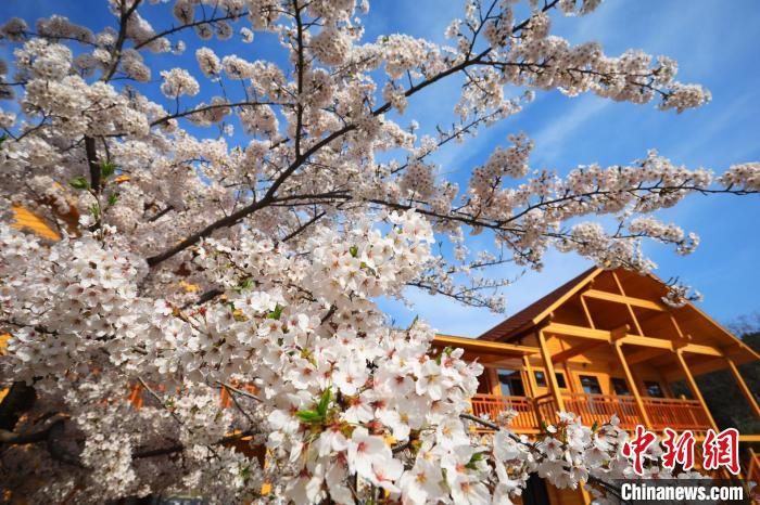 旅顺口区委宣传部供图中新网大连4月18日电(记者 杨毅)第十六届中国