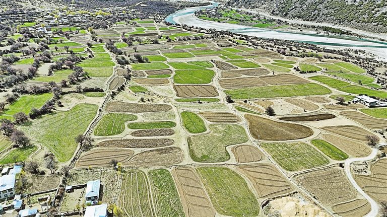 那曲市嘉黎县尼屋乡藏北最早的春天