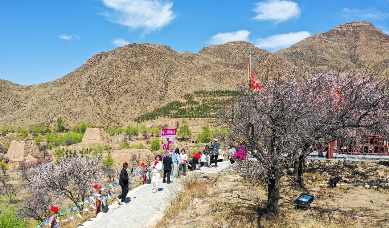 大同市阳高县举办杏花节暨长城文化旅游季系列活动|大同市_新浪财经