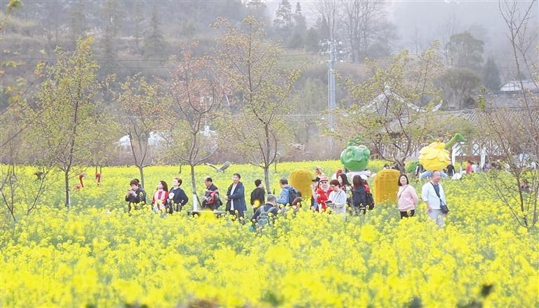 游客在金海雪山景区赏花。 通讯员 罗燚 摄