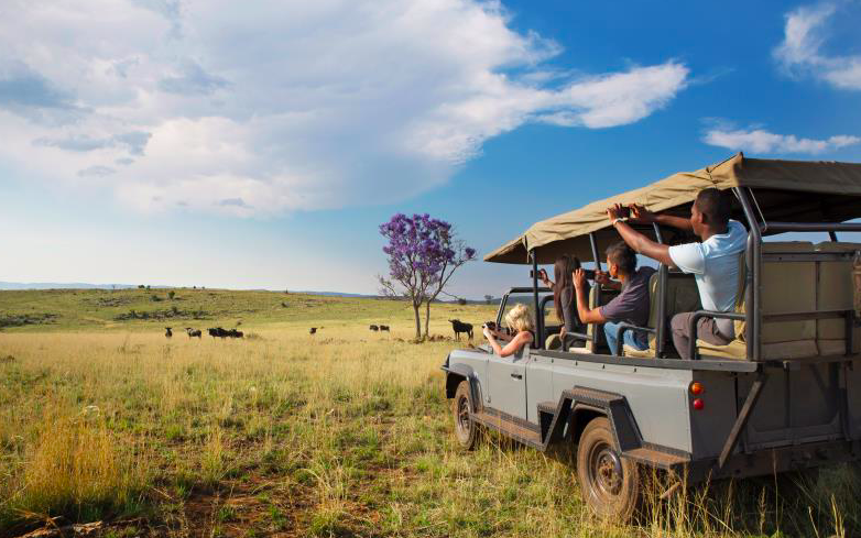 敞篷车动物猎游观光体验。图/南非旅游局供图
