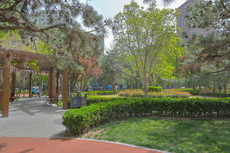 朝阳区和平街街道以开放共建理念打造 "百园千景万树花"_新浪财经