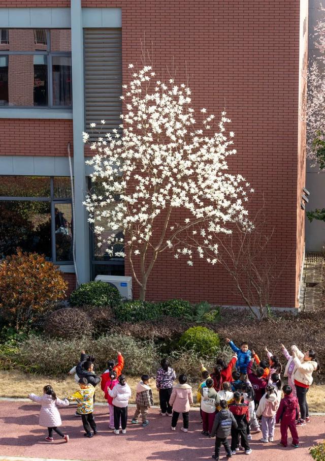 的花(城市科技学校 徐青摄)春满"农趣园"(新浜学校)爱好摄影的孩子,用
