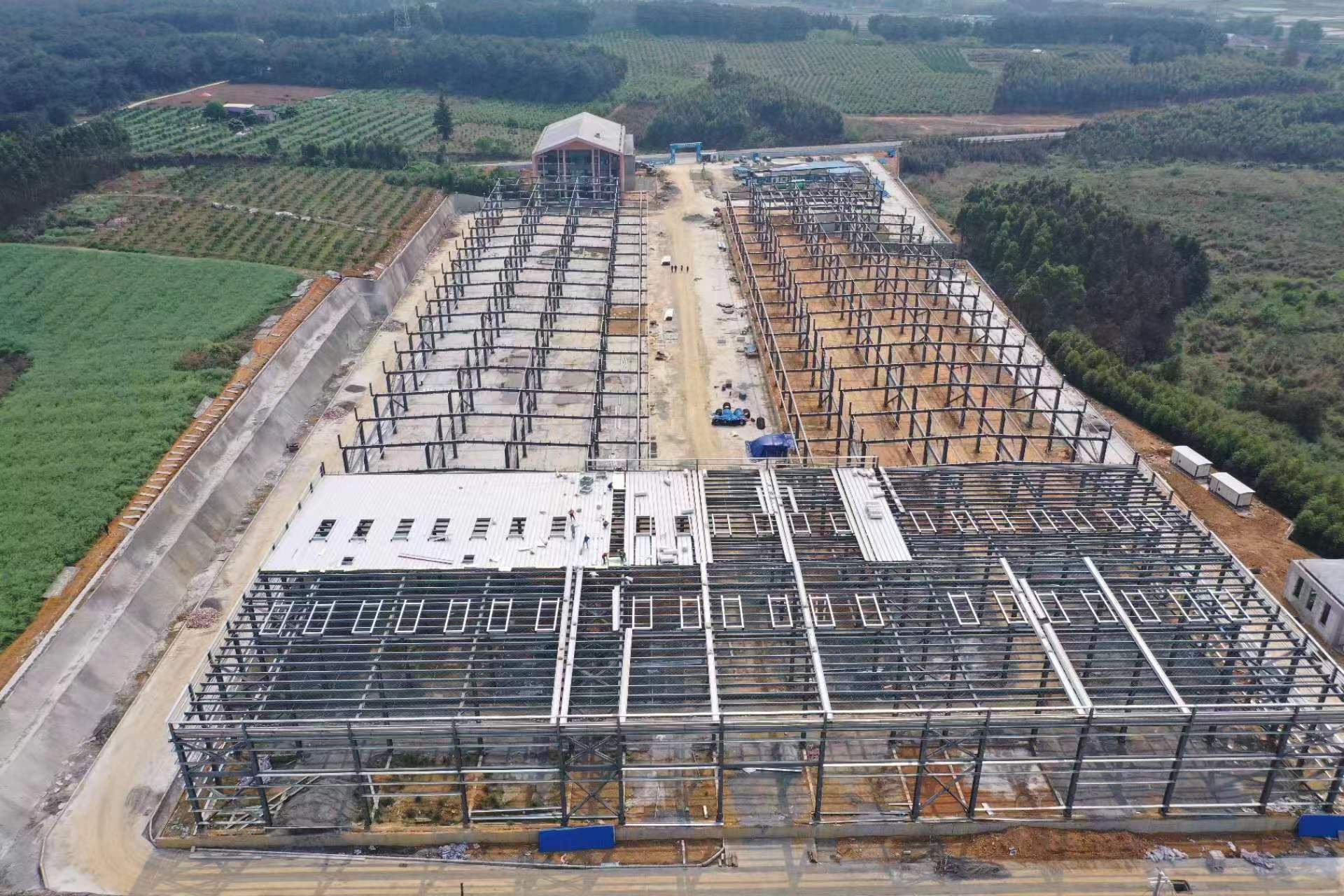 广西富川:延伸香芋全产业链 打造特色农业示范区