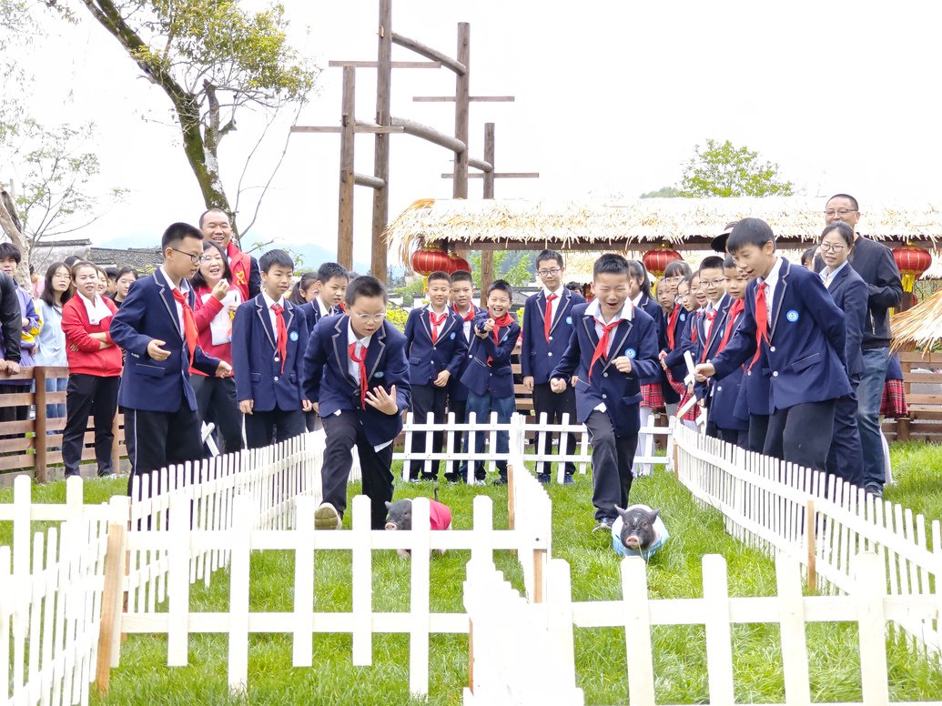 西递镇:开秧节 祈丰收 农耕文化润人心