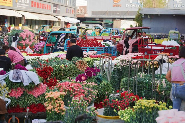 斗南花市康乃馨交易区满目鲜花。（本文图片均由胡弘彪摄）