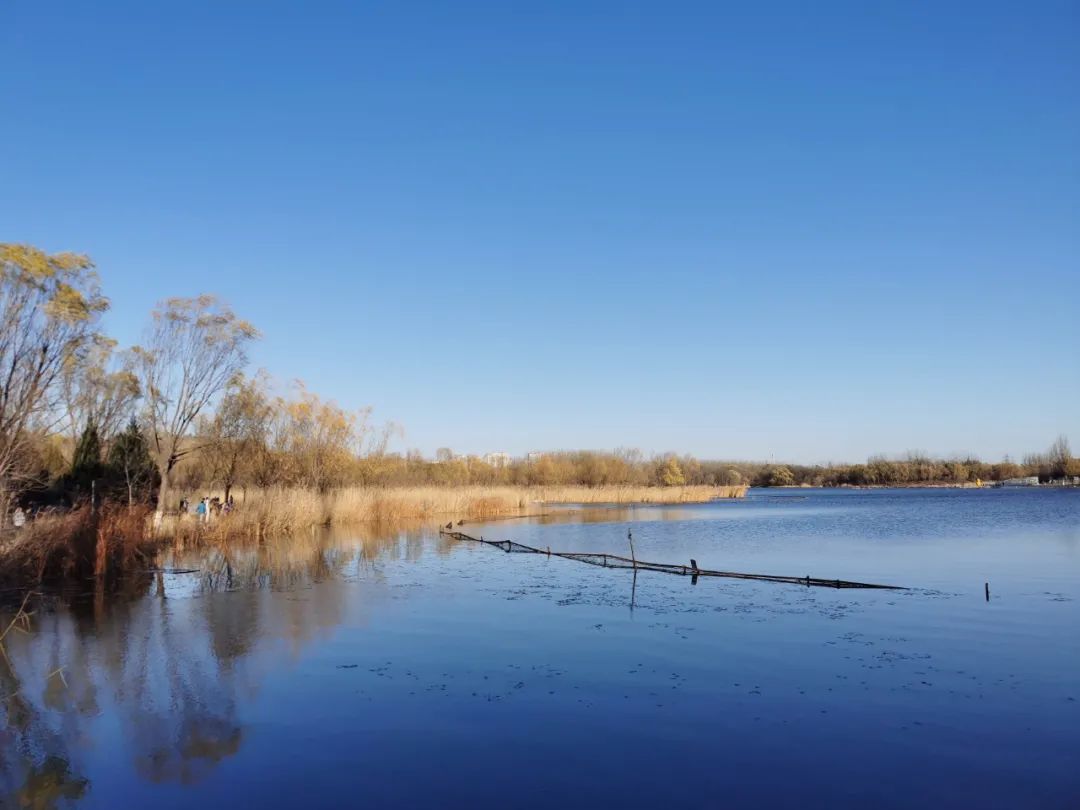 【市场概览】前日金融市场点评_新浪财经_新浪网