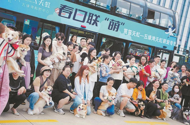 市民携爱犬合影。（资料图片）