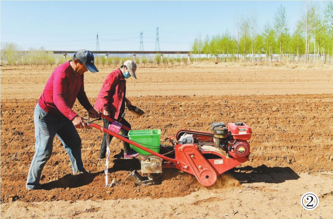 抢抓墒情忙播种