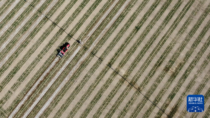 这是在甘肃武威市凉州区武南镇拍摄的春耕场景（无人机照片）。新华社记者 王朋 摄