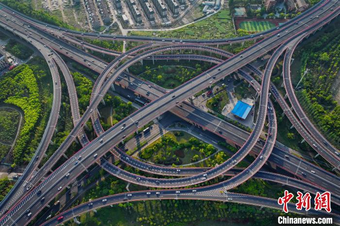 往年的杭州高架月季空中景观花廊景致。杭州市园林文物局供图