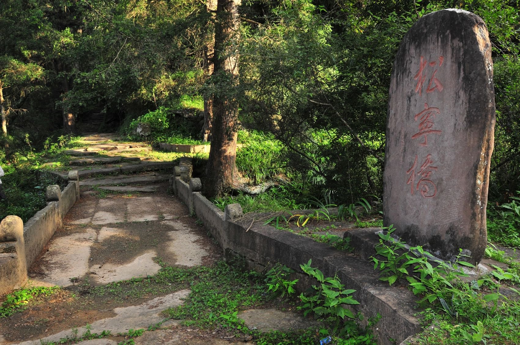 漫步古蜀道,对话翠云廊 2024"古蜀道徒步游"新闻发布会在蓉举行