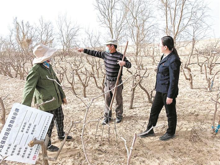 中华财险和田分公司工作人员（右）来到田间地头，宣传农业保险政策（资料图片）。