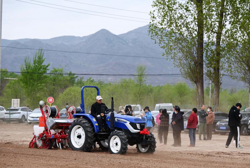 京郊最大鲜食玉米种植地延庆区旧县镇启动春耕播种|北京市_新浪财经_