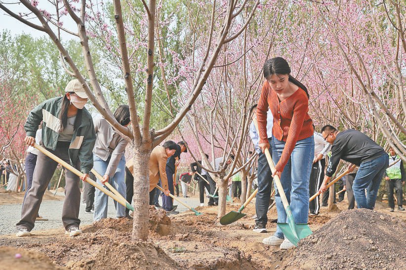 干部职工在通州区潞城镇潮白河畔义务植树。本报记者 白继开摄