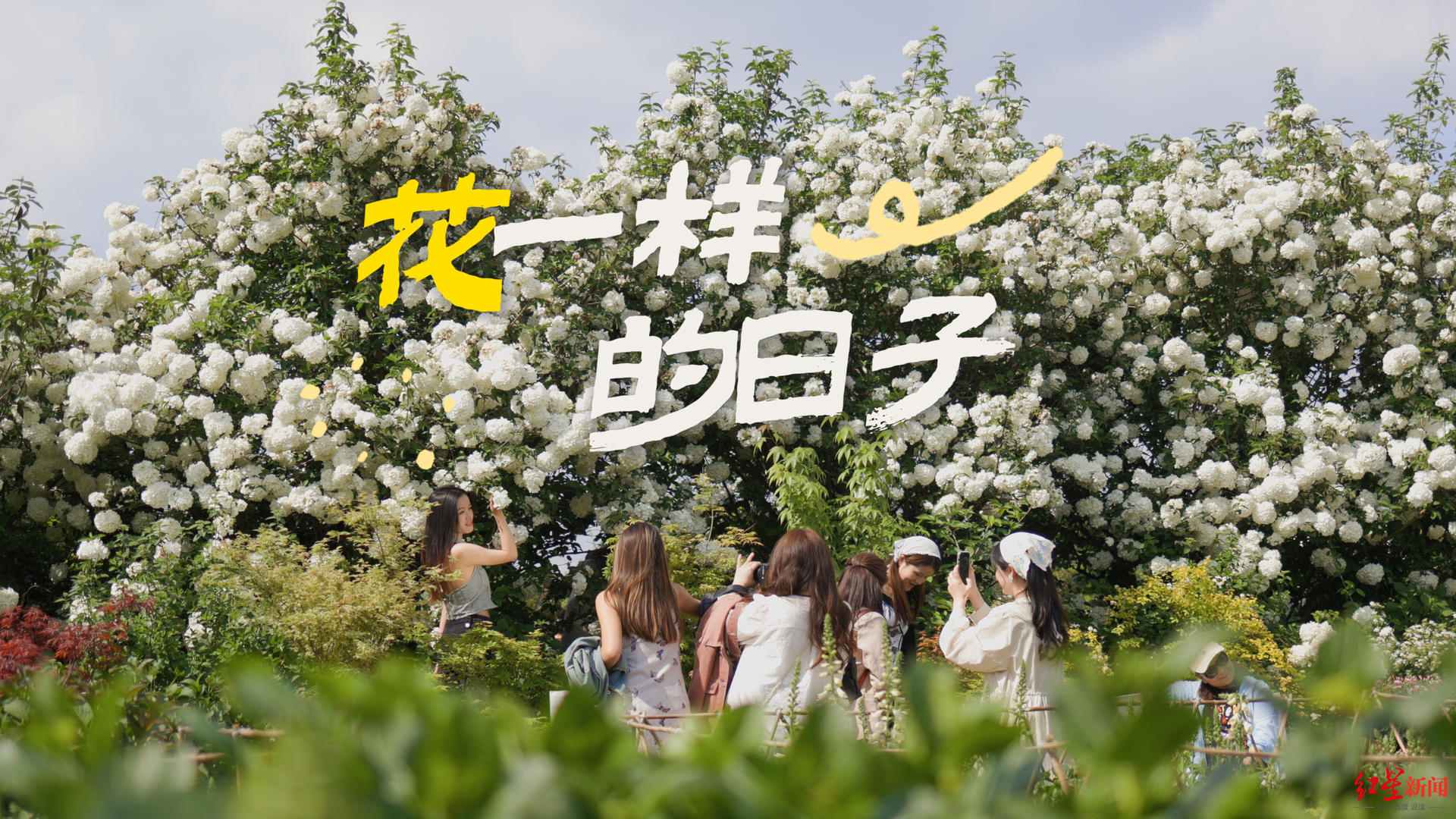 “海妈”邱亚敏:成都本身就是个浪漫的城市,我愿将她比作海棠花|花一样的日子|世园会|成都市_新浪科技_新浪网