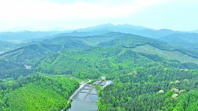 中国林业科学研究院亚热带林业实验中心山下实验林场的科研实验林树木茂盛，郁郁葱葱。 资料图片