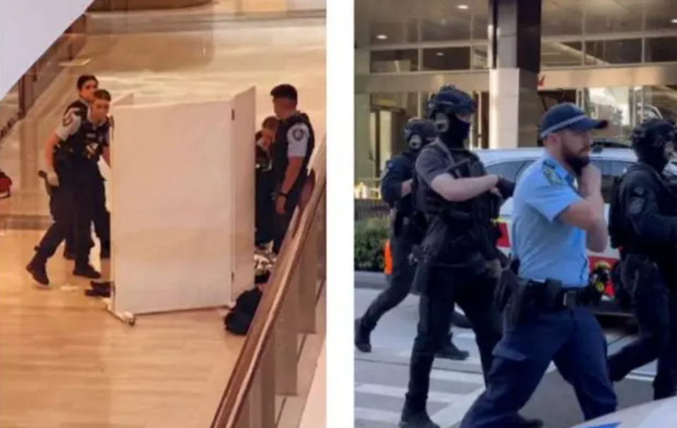 我亲历了悉尼袭击案