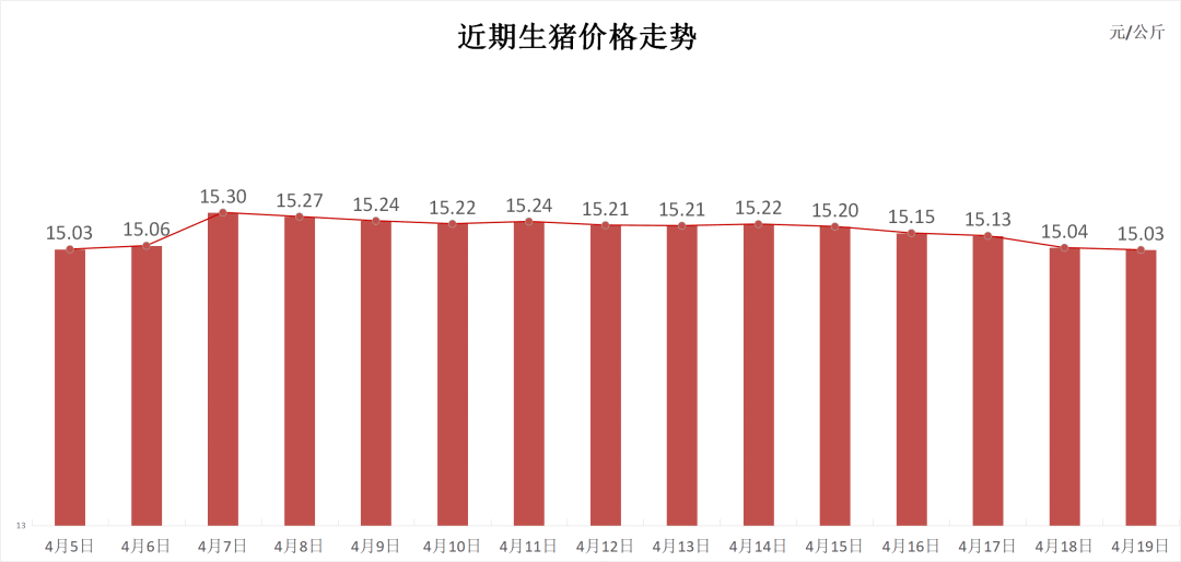 每日猪讯4.19