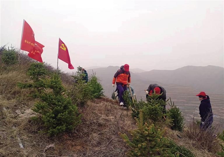 植树添绿