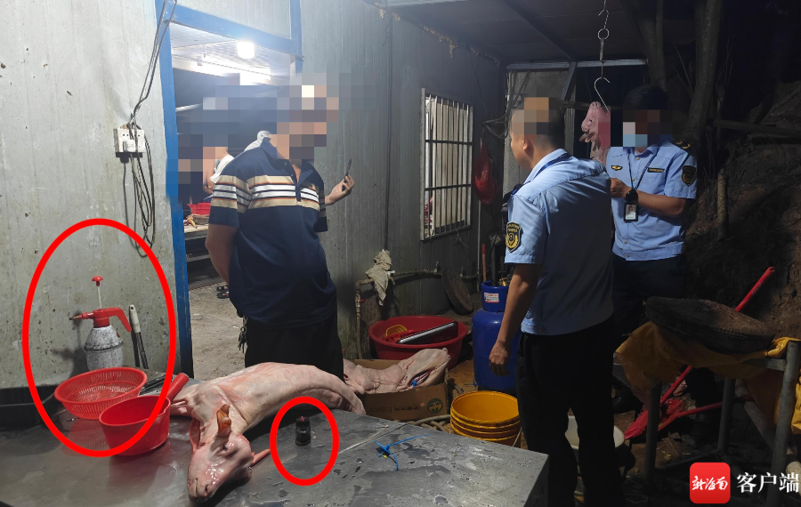 海口椰海综合批发市场一家羊肉档口门后，白条羊染色被抓现行。红圈处分别为喷壶和黑墨水。记者 姜飞 摄