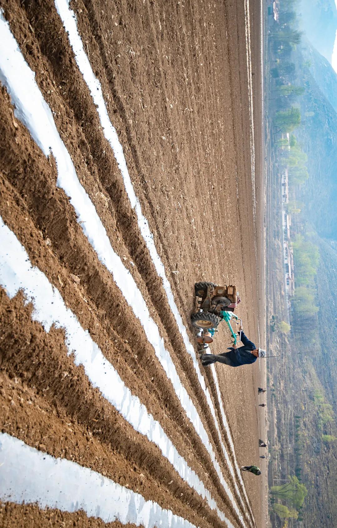 农机具铺设地膜随处可见三三两两的村民有机旱作基地里左权县羊角乡