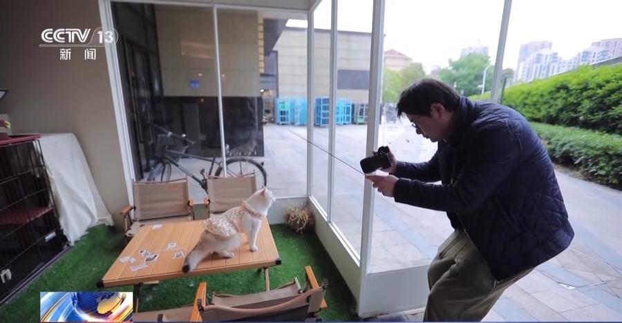 假期寄养预订火爆!萌宠经济升温 催生"花式养宠"新业态