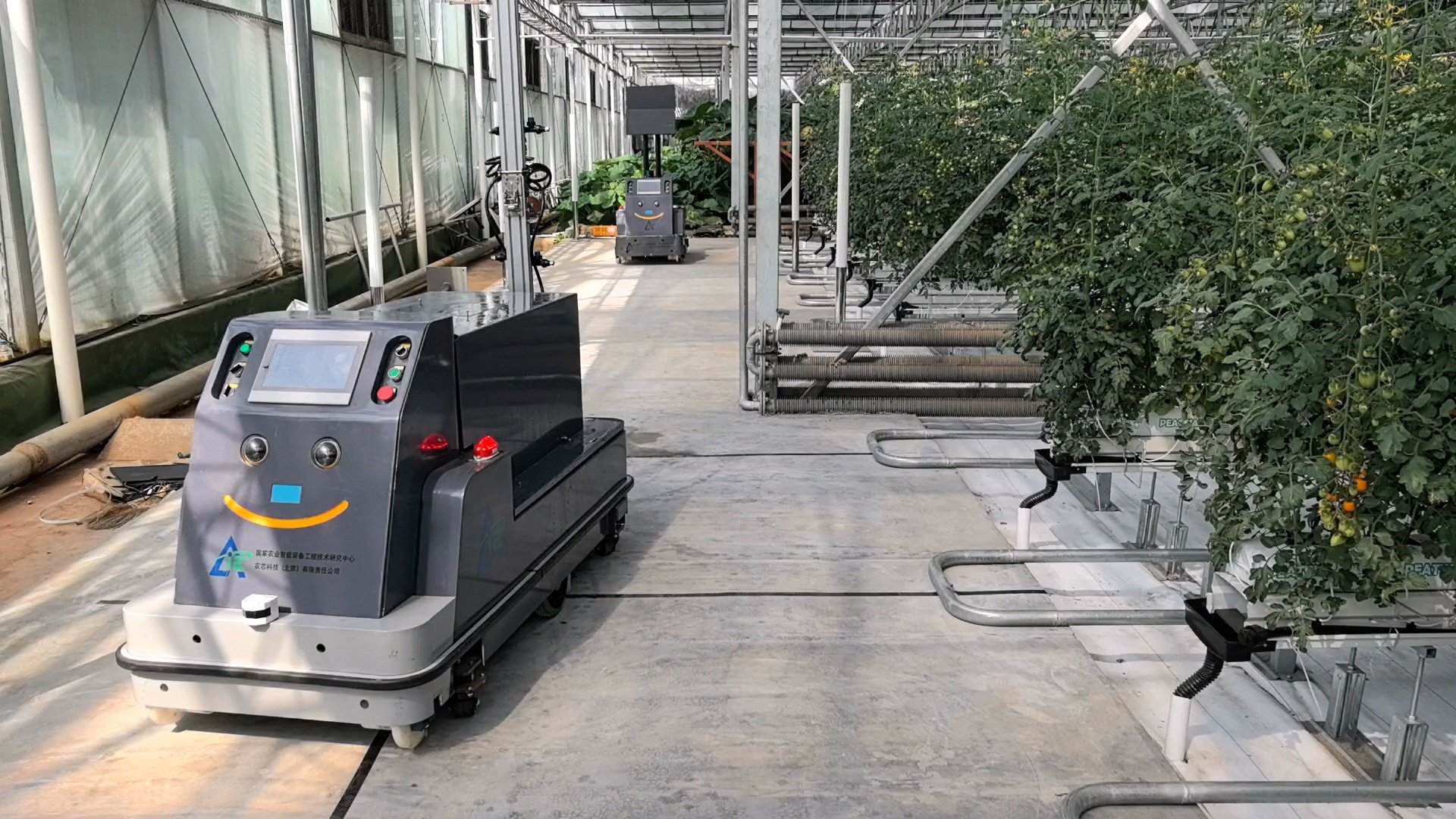 寿光菜博会上展示的喷雾机器人(前)和智能授粉机器人(后).