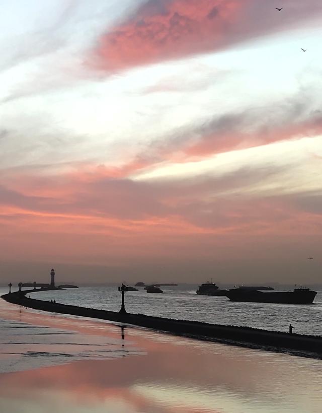 上海吴淞炮台湾国家湿地公园里除了旖旎的自然风光,更承载了厚重的