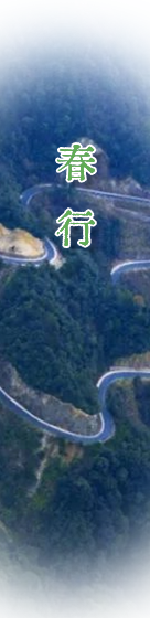 向下滑动查看所有内容