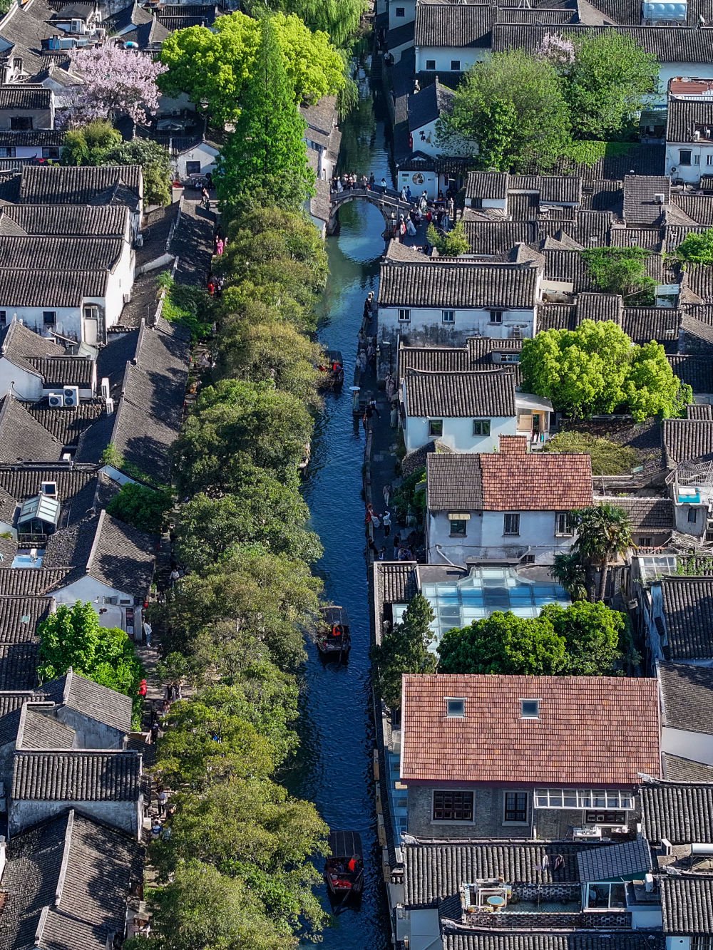 文化中国行|一眼千年平江路|苏州市_新浪财经_新浪网