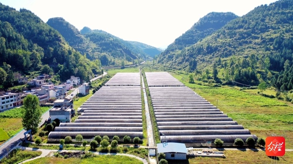 铜仁获批建设国家中医药传承创新发展试验区