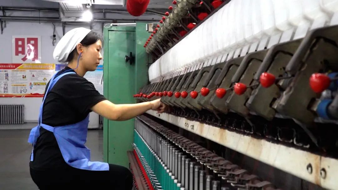 品牌的力量|清河羊绒:品牌塑造,让"软黄金"变真金