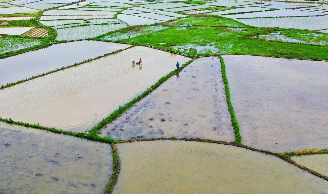 广西:七彩田园美如画
