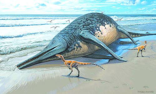 远古生物有多大?最新发现告诉你|今日视点