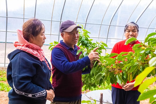 襄垣县虒亭镇特色产业"多点开花"带民富
