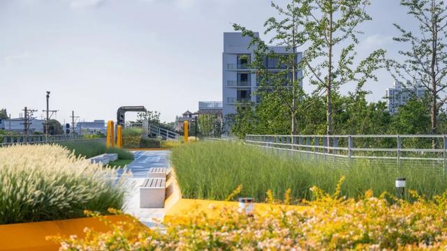 宝山这个"口袋公园",为什么"叫好又叫座"?