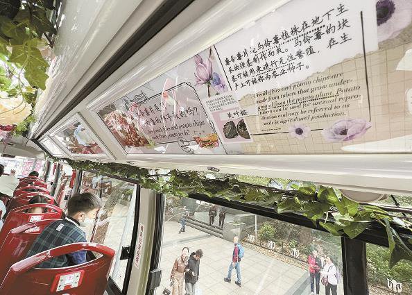 花箱里的花展……上海(国际)花展开幕以来,三大主会场吸引了大量游人