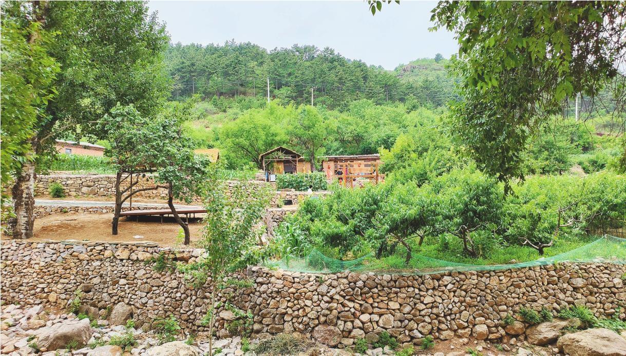 有着300多年历史的石灰窑沟村风光秀丽.