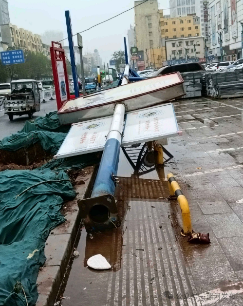 67我是创文啄木鸟丨今天曝光10个问题_新浪财经_新浪网