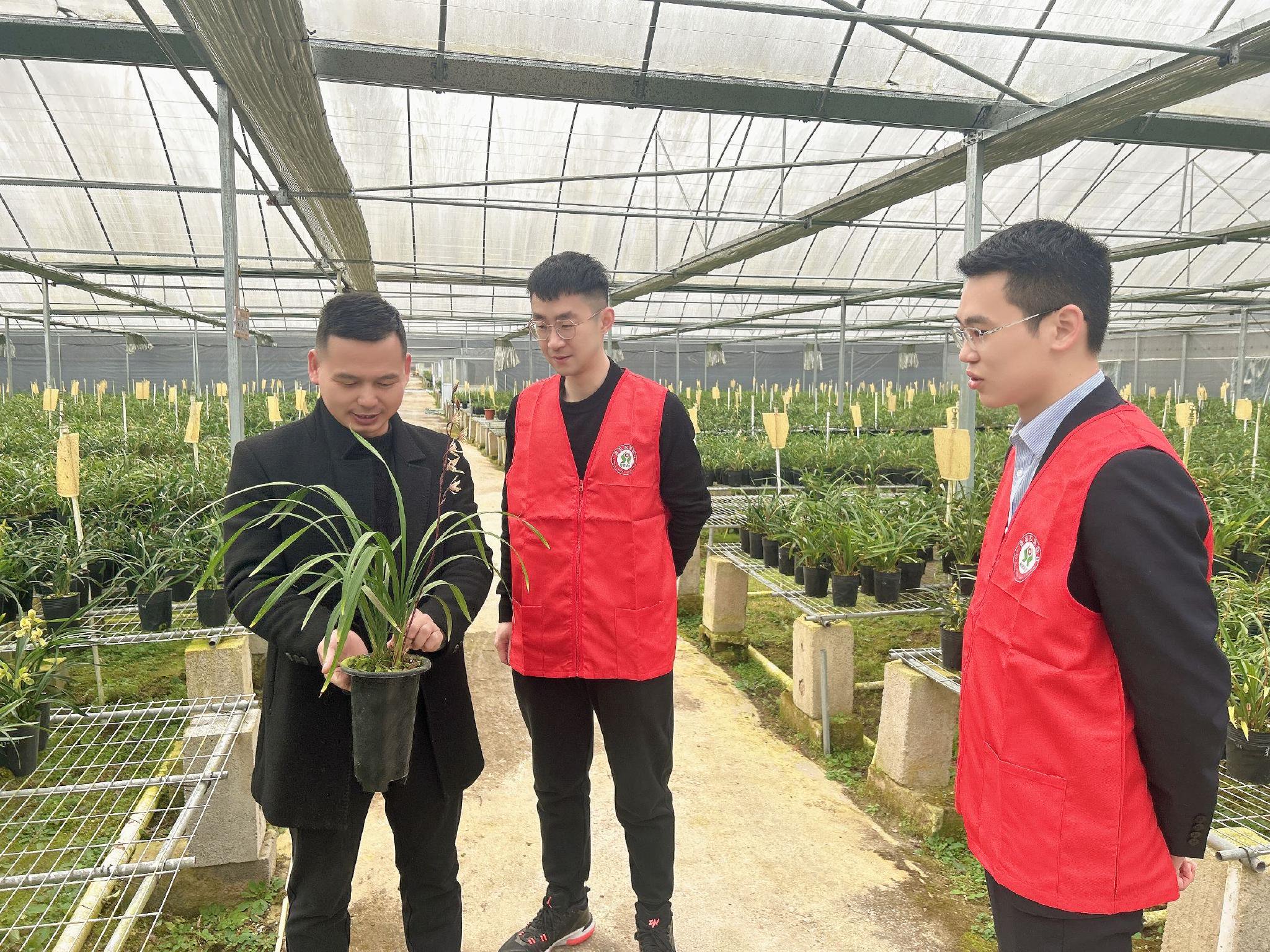 清流农信联社工作人员(右一,右二)在清龙生态兰花有限公司调研金融