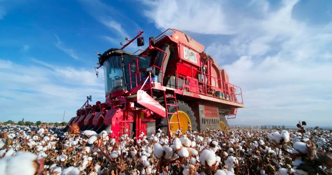 中国棉花价格指数发布三个代表品种cc index3128b,cc index2129b,cc