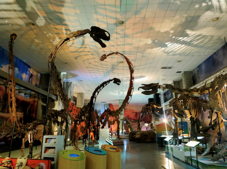 第二届创锦赛"激活博物创意:山东大学博物馆主题赛"正式启动