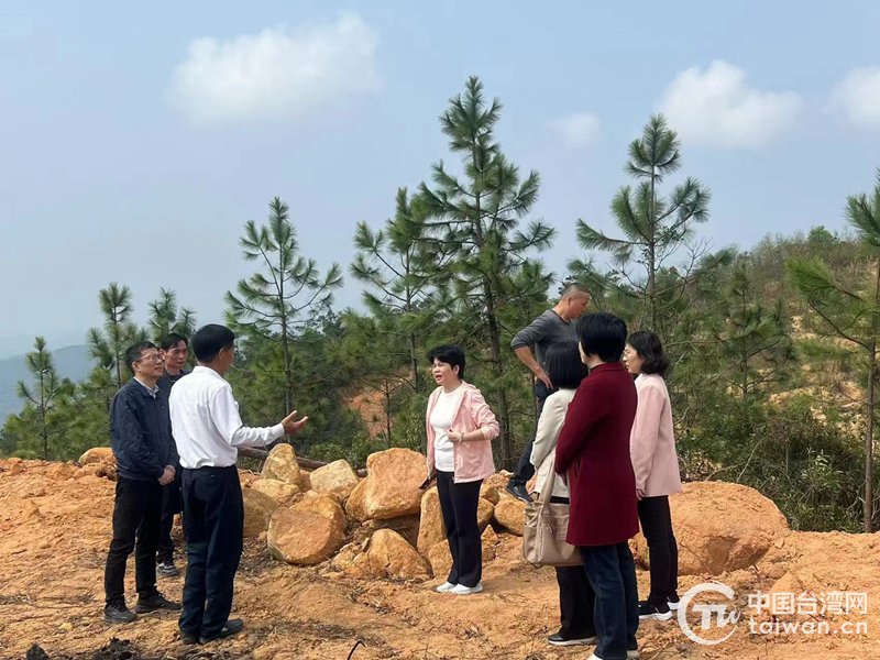 实地调研中(陆丰市委统战部供图)