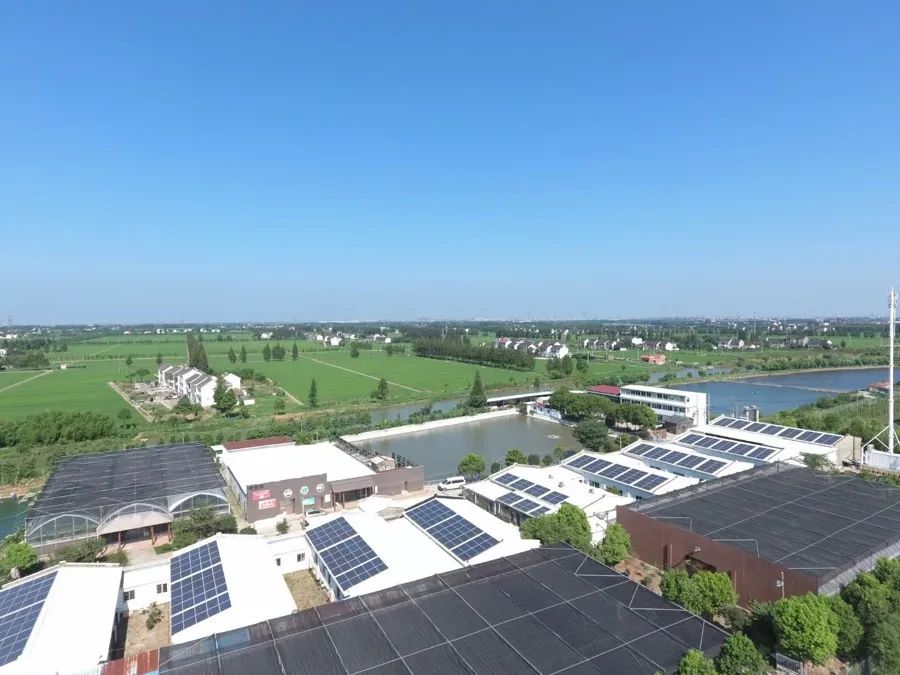 羡慕吗?上海"00后"一毕业就继承家业:500多亩农场,父亲砸了几千万