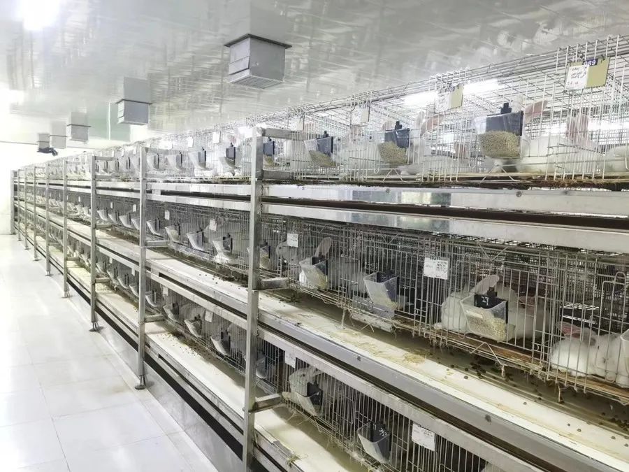 羡慕吗?上海"00后"一毕业就继承家业:500多亩农场,父亲砸了几千万