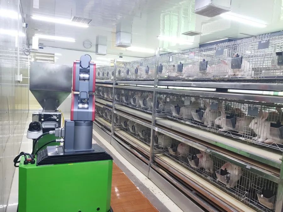 他跟着机械工程类的博士毕业们设计给兔子自动喂料的机器人(10