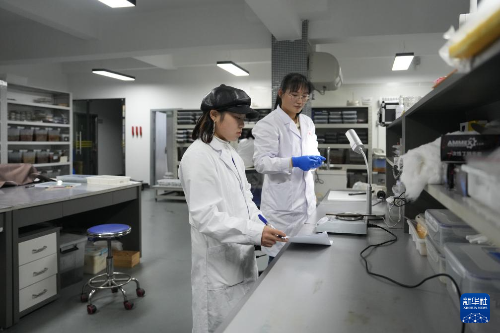 3月4日，工作人员在湖南省文物考古研究院长沙铜官窑基地测量简牍的尺寸、重量等信息并记录。新华社记者 薛宇舸 摄