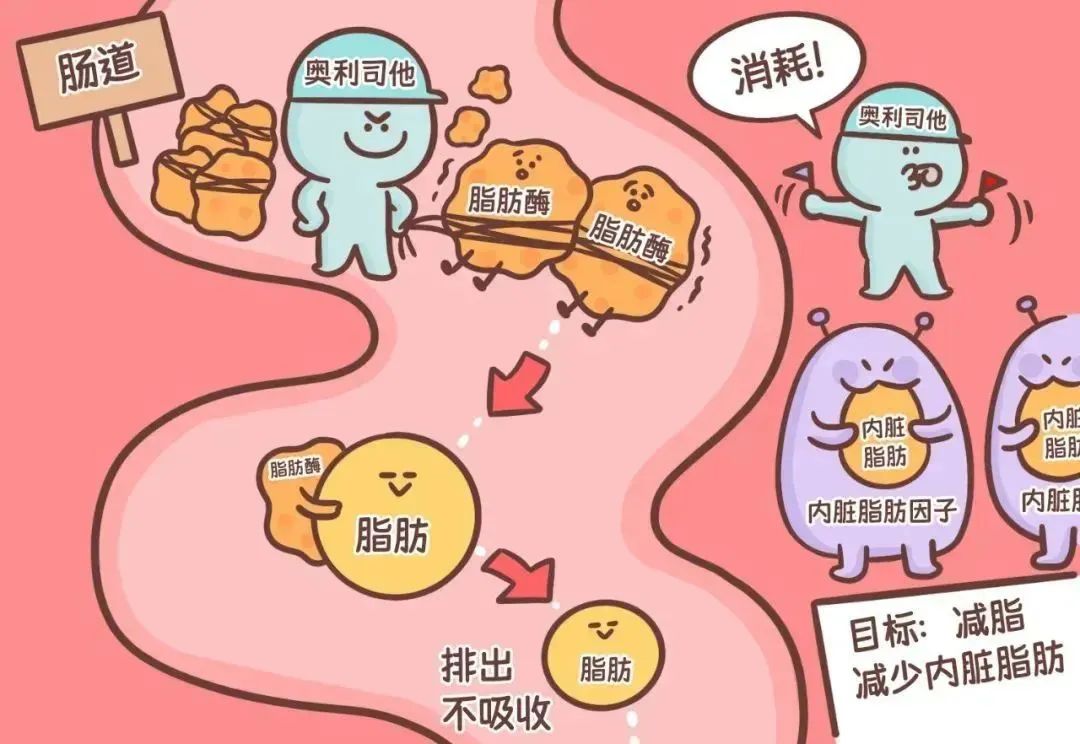 国内唯一获批可以吃的减肥药,真能安全减肥?